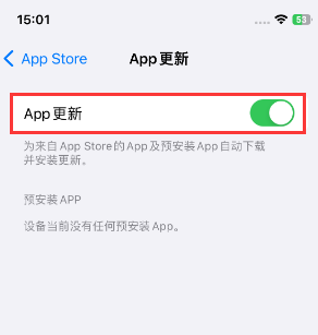 姚安苹果15维修中心如何让iPhone15APP自动更新